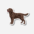 Ruskea Labradorinnoutaja Magneetti