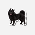 Schipperke magneetti