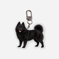 Schipperke Avaimenperä