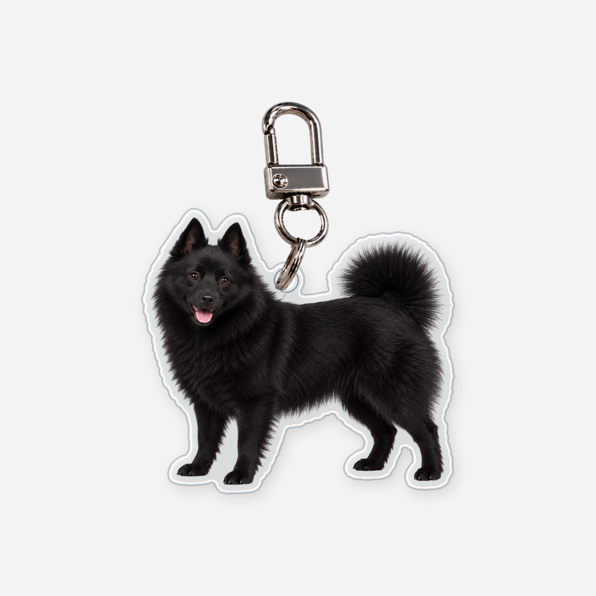 Schipperke Avaimenperä