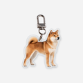 Shiba Avaimenperä