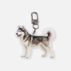 Siperianhusky Avaimenperä