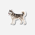 Siperianhusky magneetti