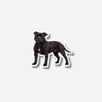 Staffordshirenbullterrieri magneetti