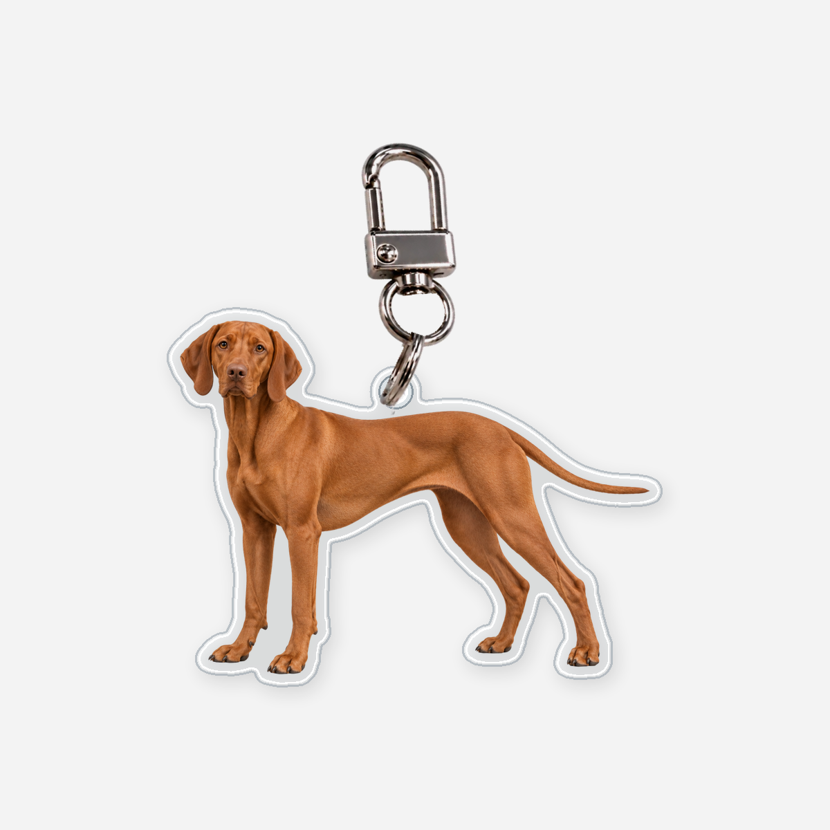 Unkarinvizsla Avaimenperä