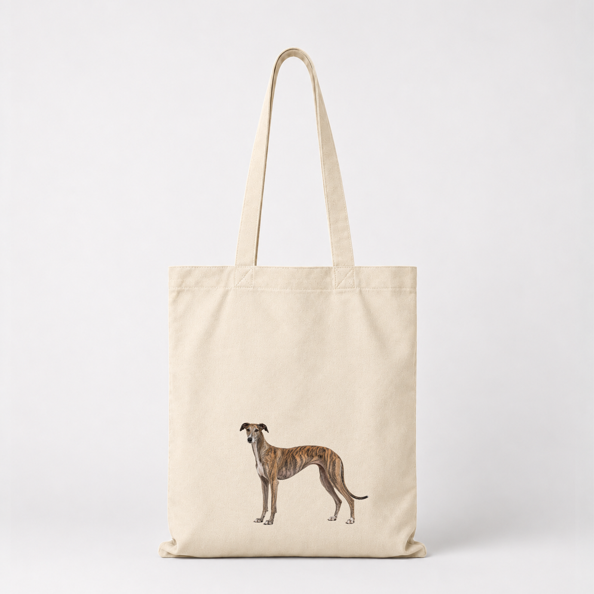 Galgo Kangaskassi