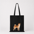 Shiba Kangaskassi