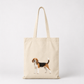 Beagle Kangaskassi