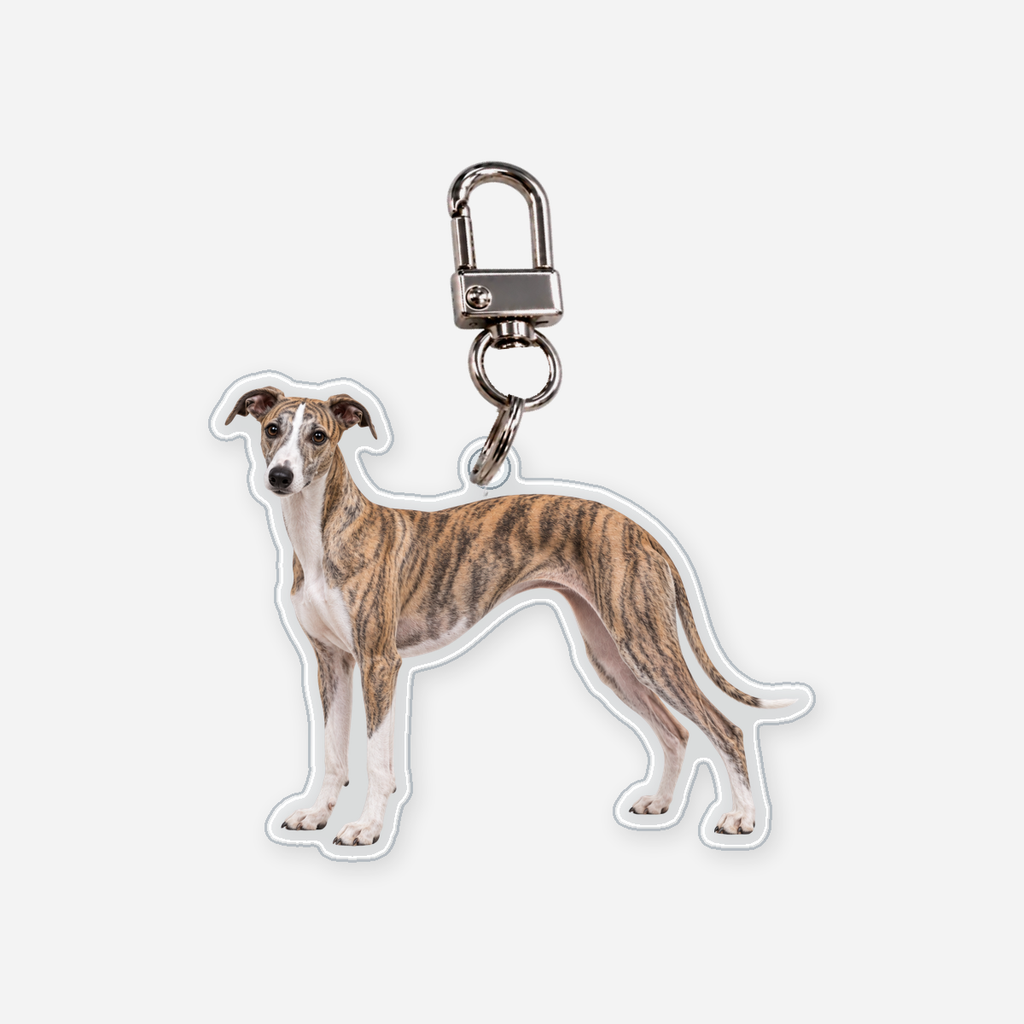 Whippet Avaimenperä