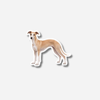 Whippet magneetti