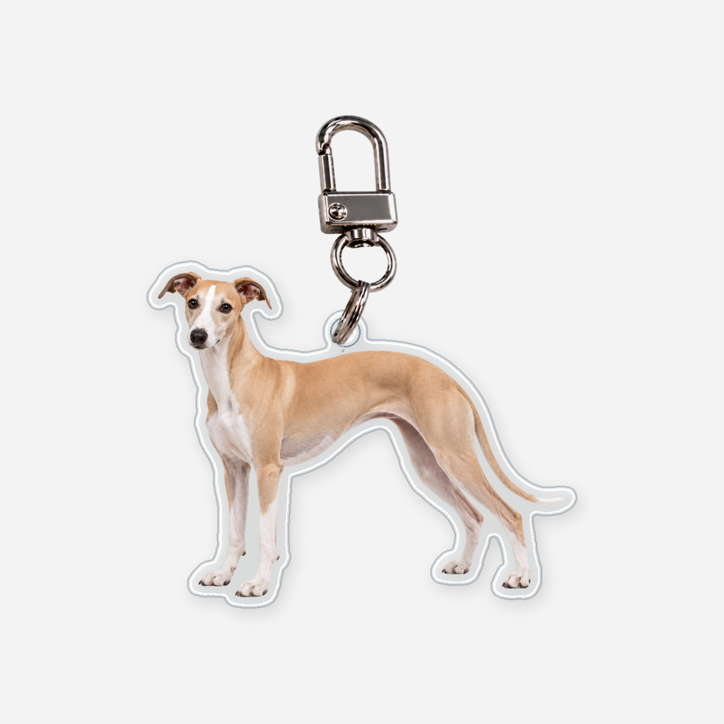 Whippet Avaimenperä