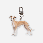 Whippet Avaimenperä
