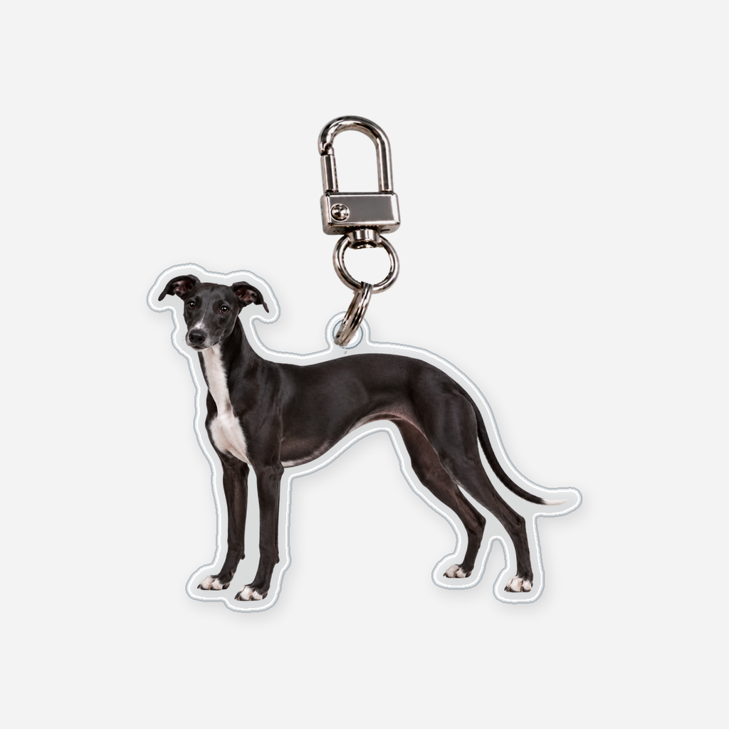 Whippet Avaimenperä