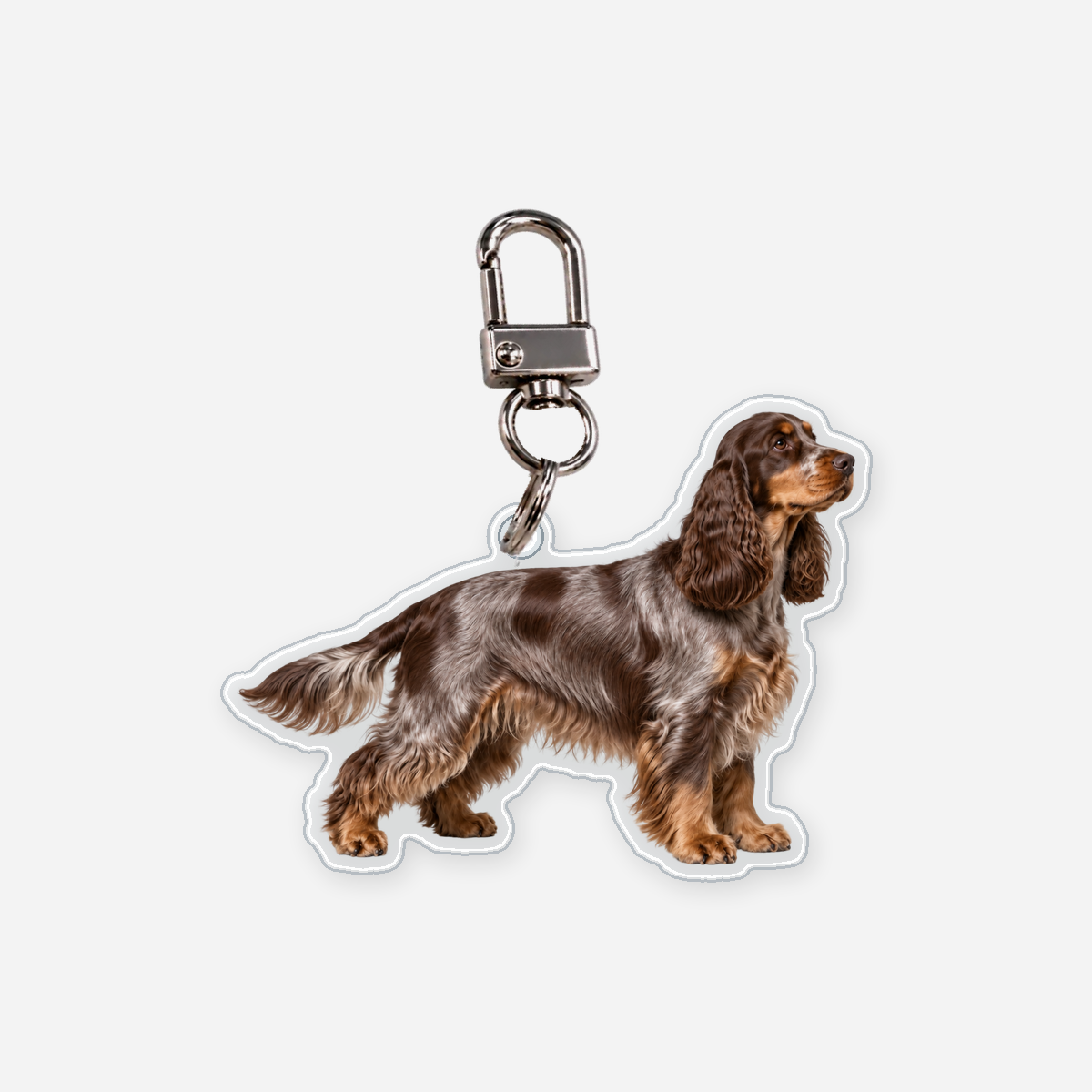 Cocker Avaimenperä