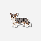 Welsh corgi cardigan magneetti