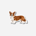 Welsh corgi cardigan magneetti
