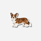 Welsh corgi cardigan magneetti