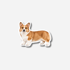 Welsh corgi pembroke magneetti