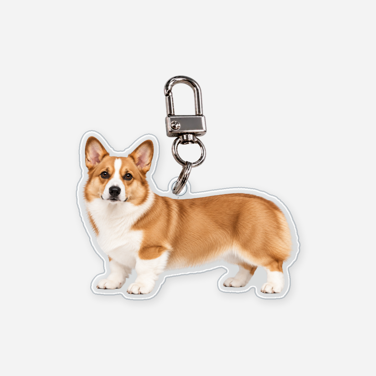 Corgi pembroke Avaimenperä