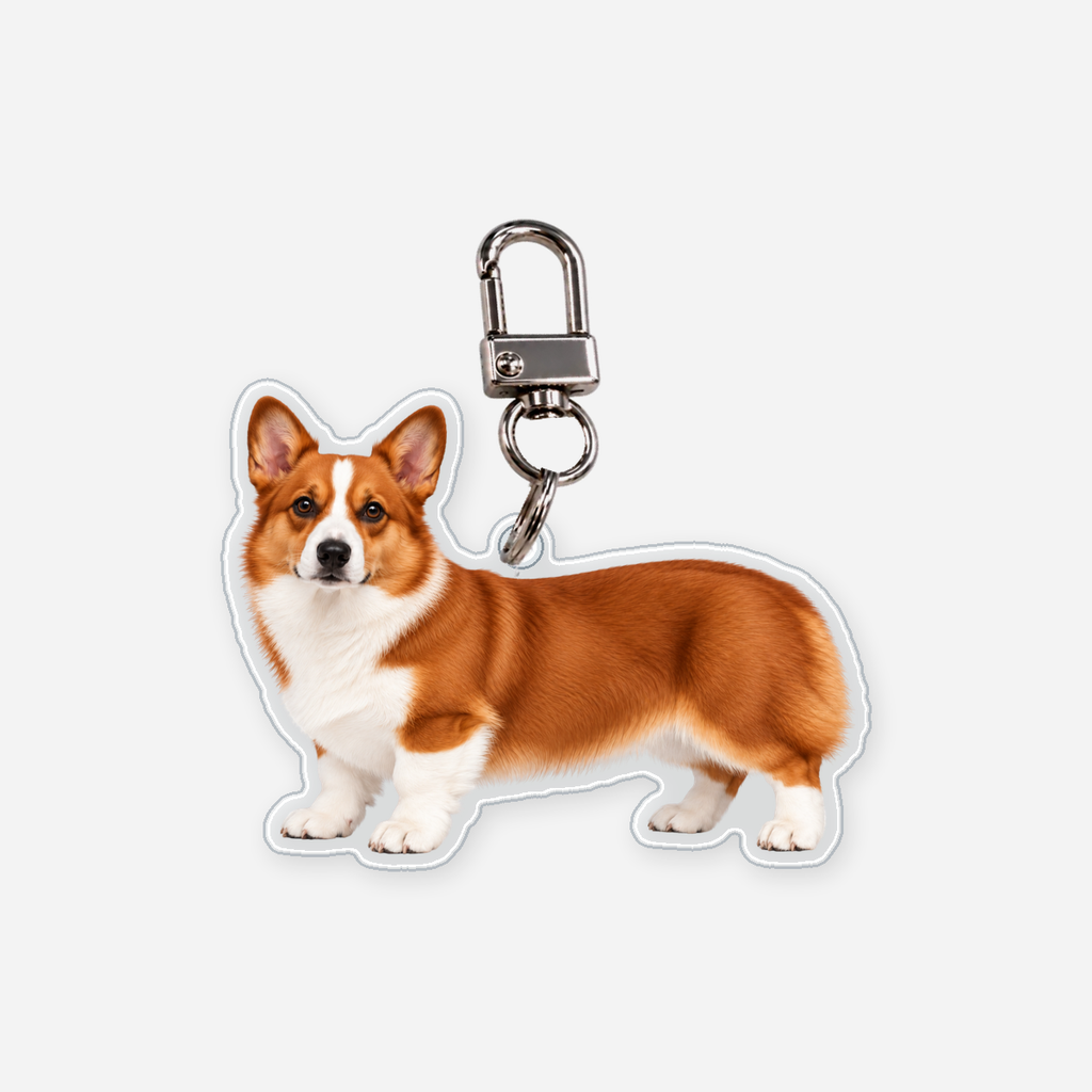 Corgi pembroke Avaimenperä