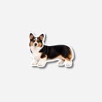 Welsh corgi pembroke magneetti