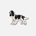 Englanninspringerspanieli magneetti
