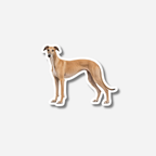 Galgo magneetti