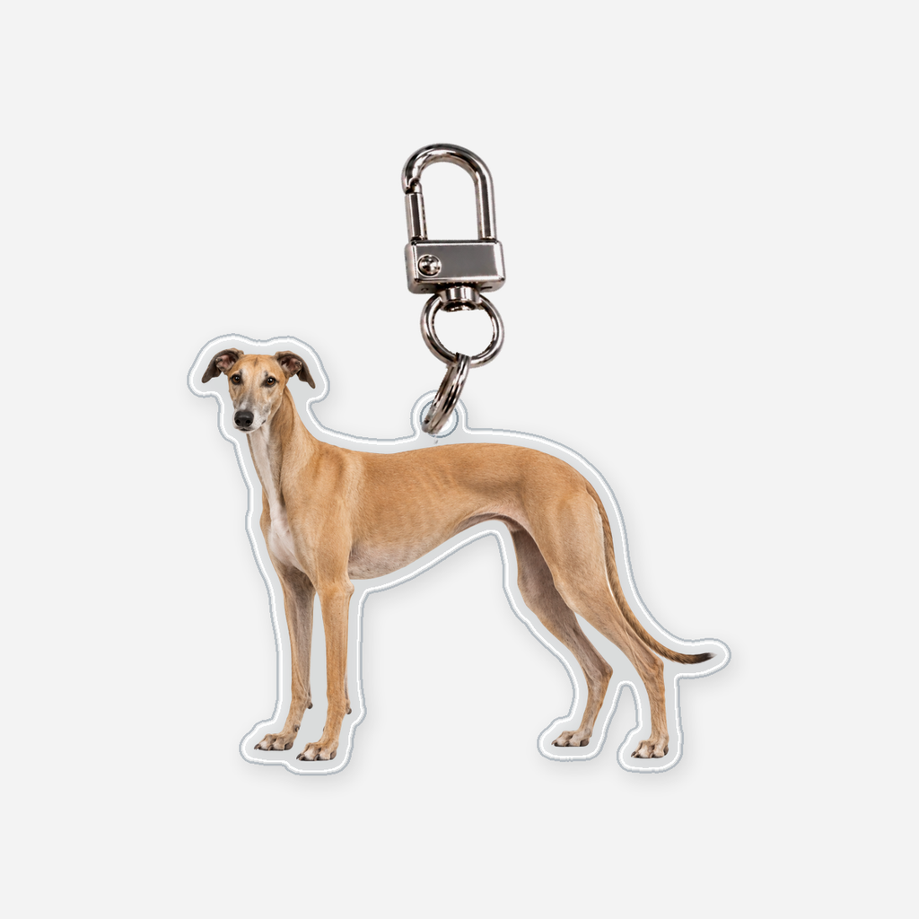 Galgo Avaimenperä