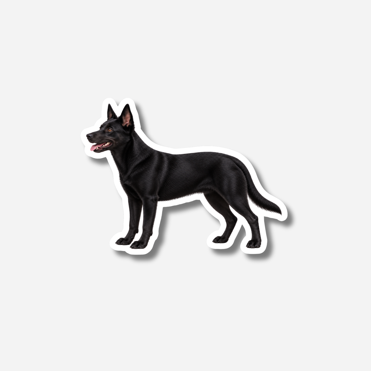Kelpie magneetti