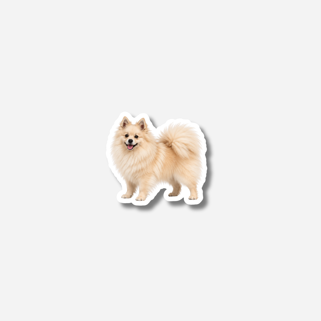 Kleinspitz magneetti