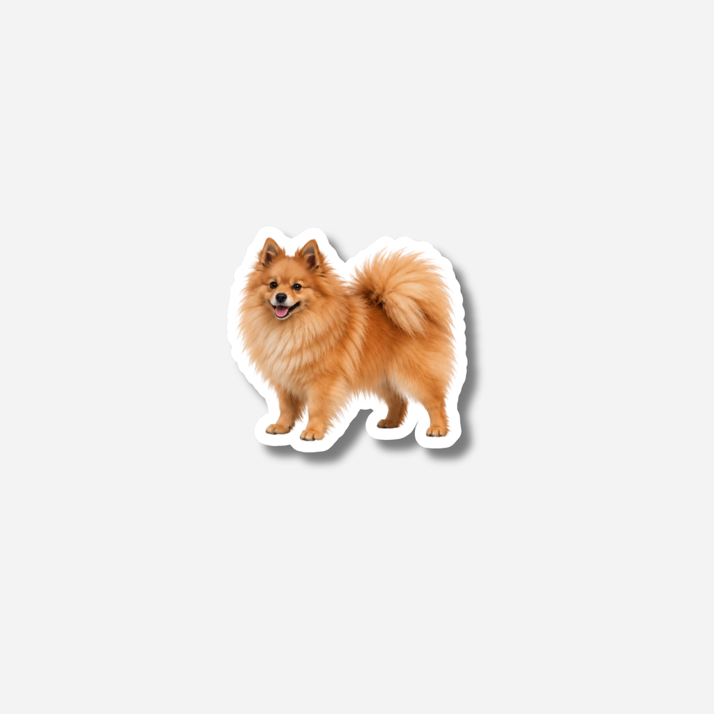 Kleinspitz magneetti