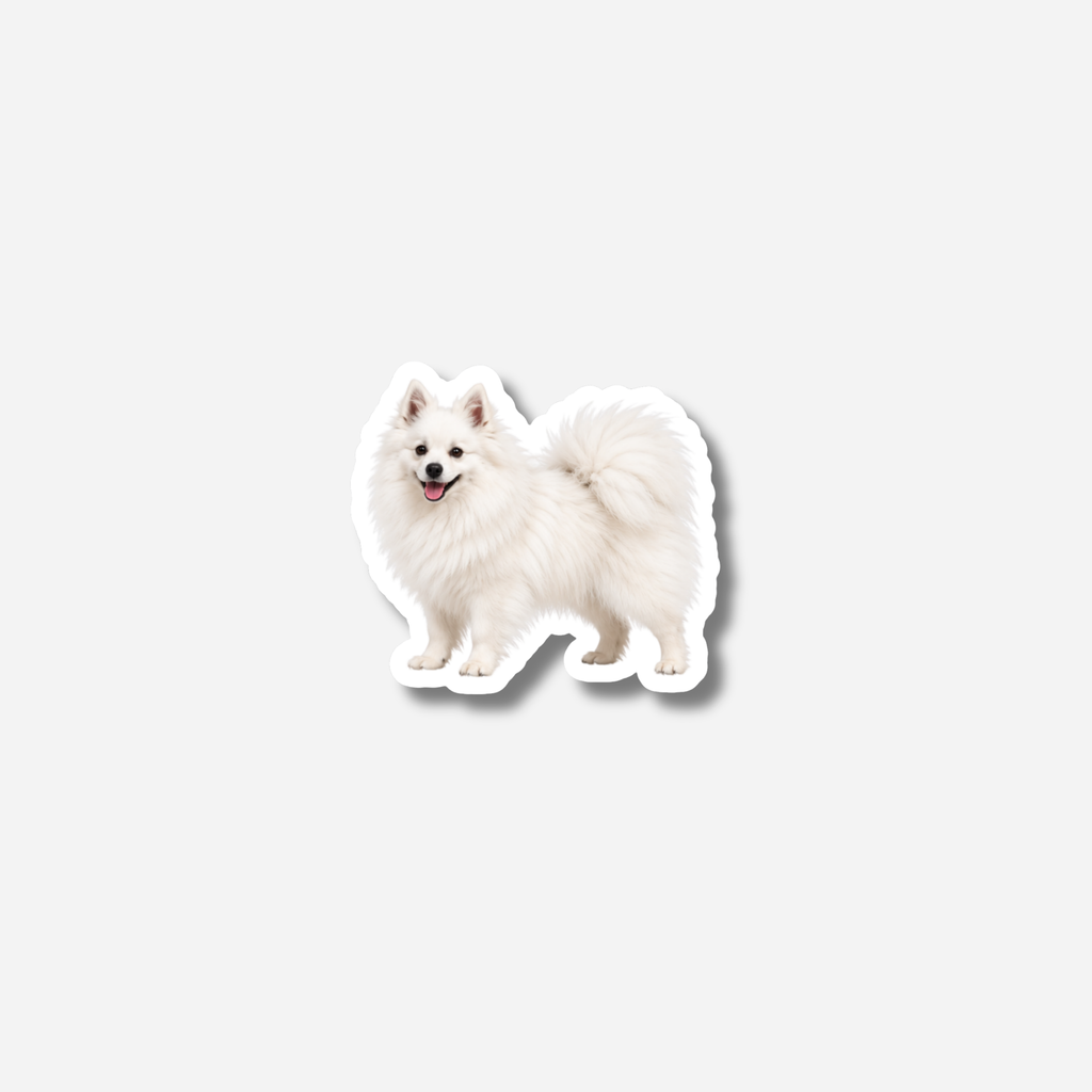 Kleinspitz magneetti