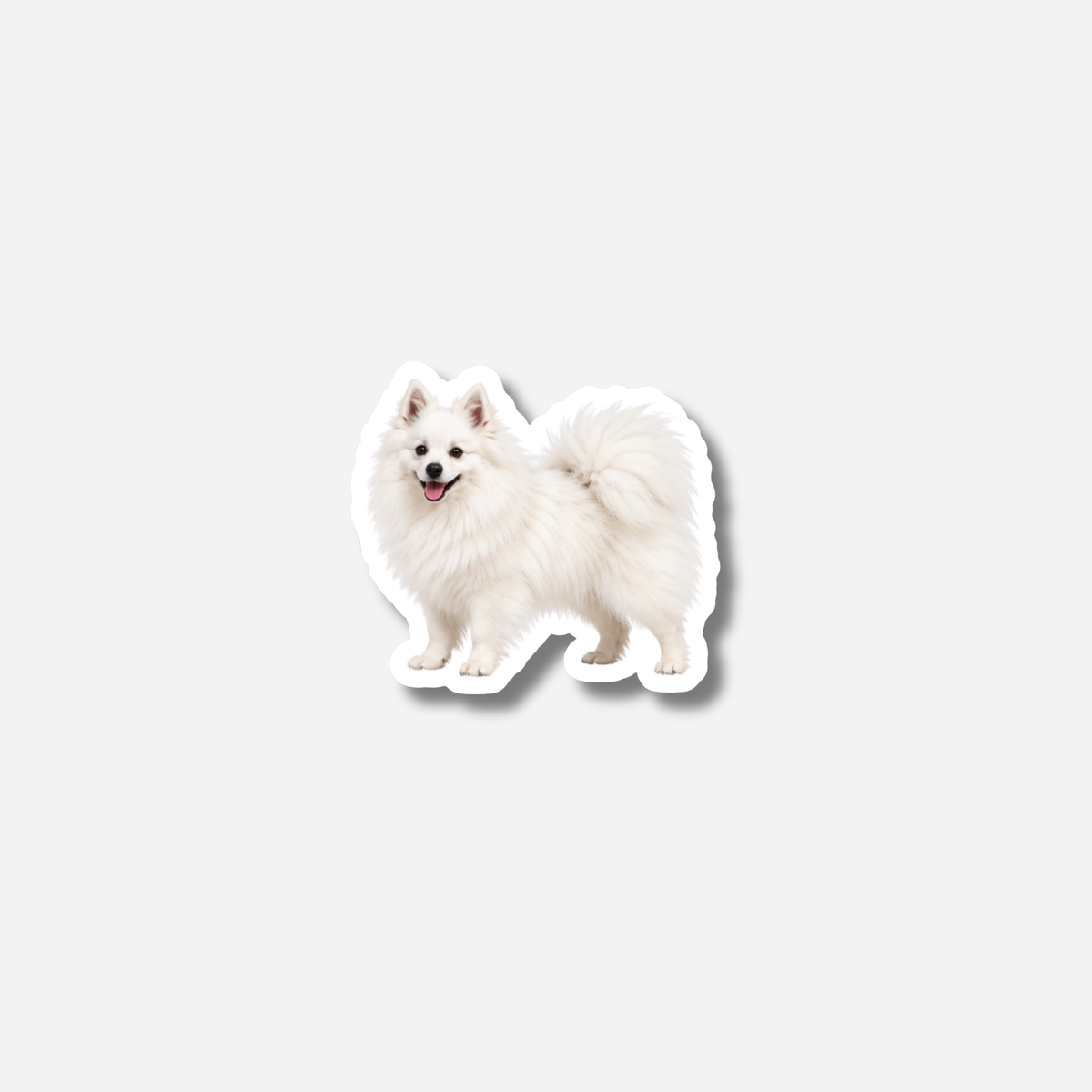 Kleinspitz magneetti