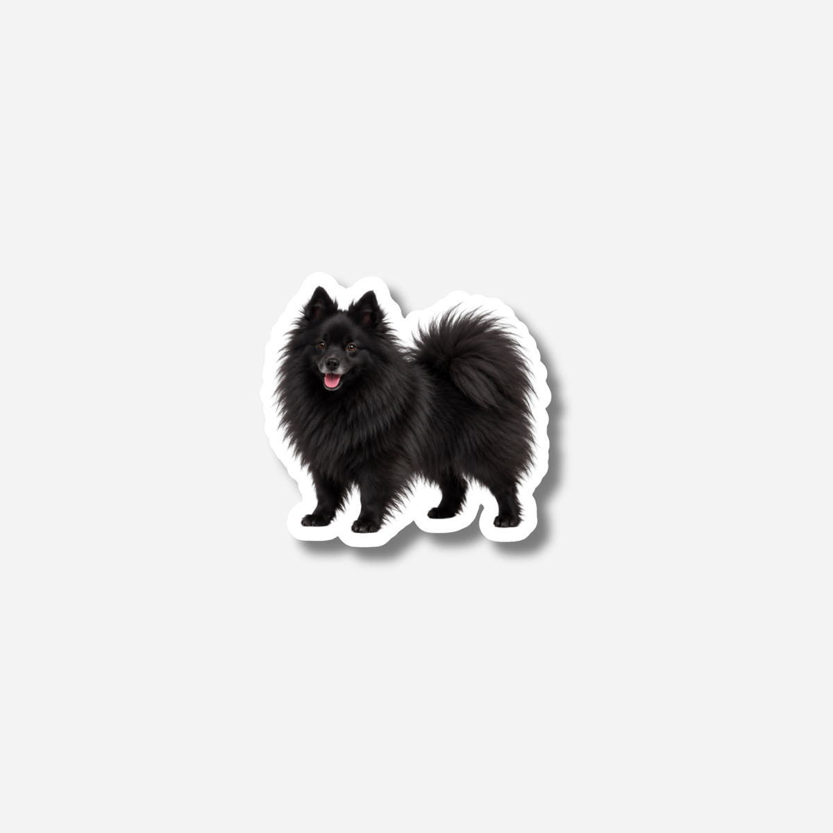 Kleinspitz magneetti