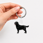 Labradorinnoutaja avaimenperä