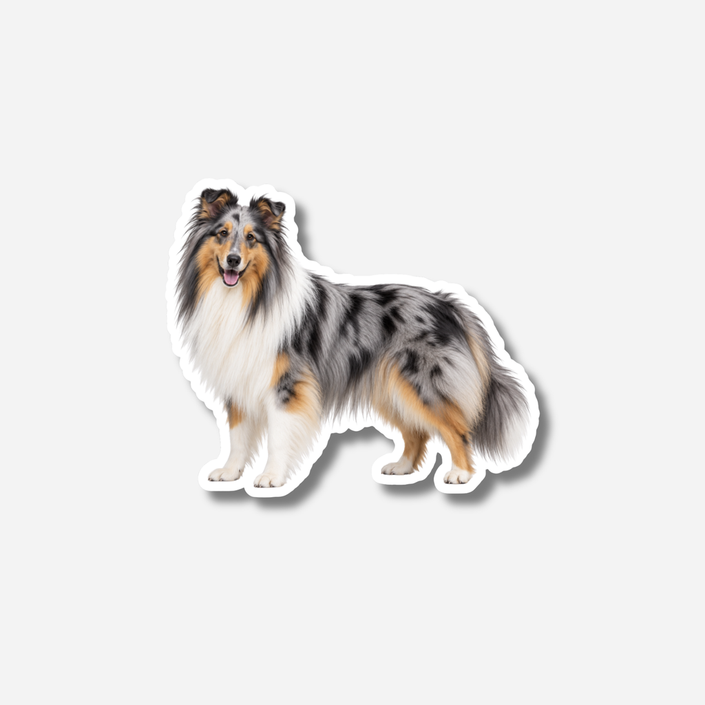 Pitkäkarvainen collie magneetti
