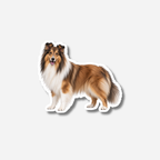 Pitkäkarvainen collie magneetti
