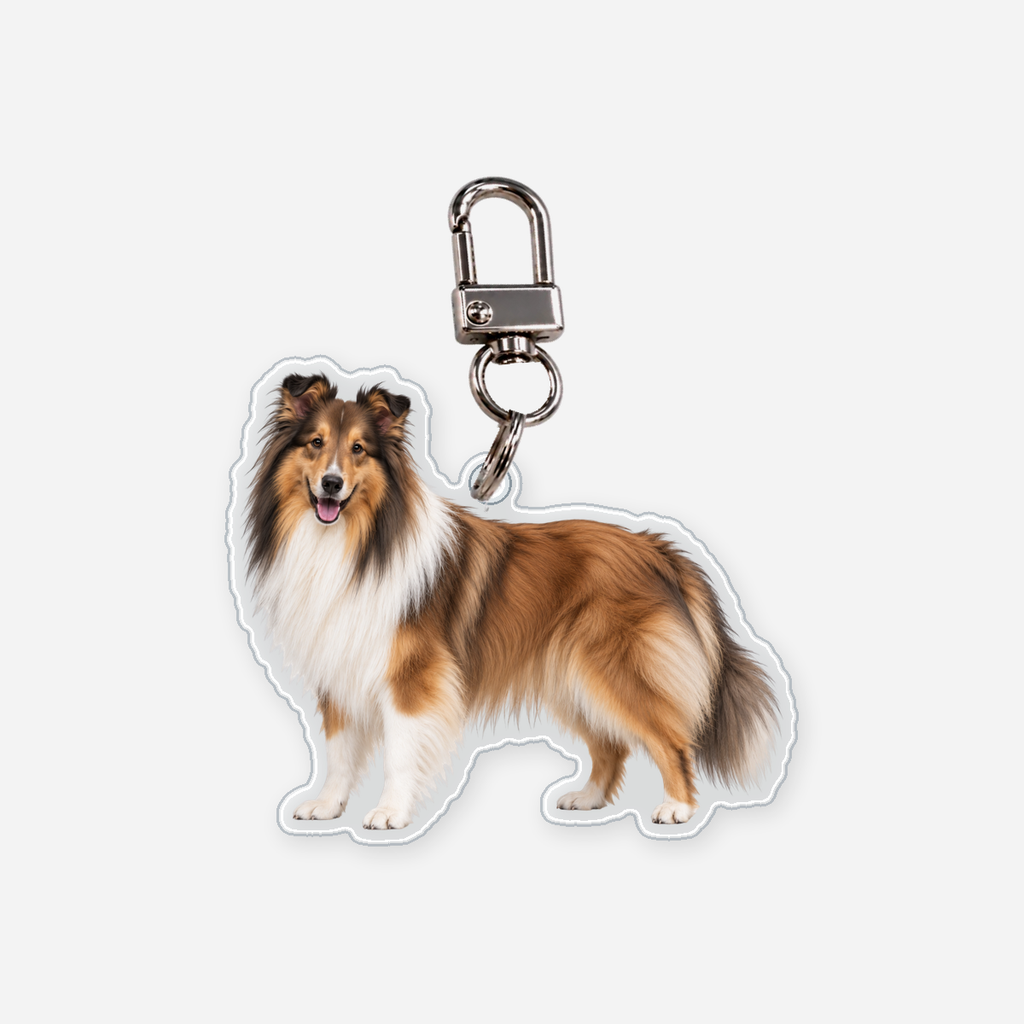 Pitkäkarvainen collie Avaimenperä