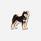 Shiba magneetti