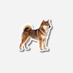 Shiba magneetti