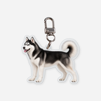 Siperianhusky Avaimenperä